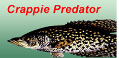 Crappie Predator