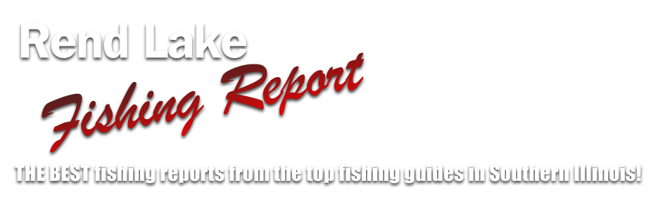 Rend Lake Fishing Report: THE BEST fishing reports from the 
                            top fishing guides in Southern Illinois!